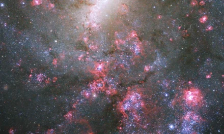 Lo sguardo di Hubble su una galassia del Webb