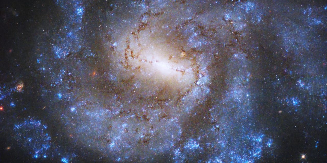 Hubble osserva una galassia nella Costellazione di Eridano