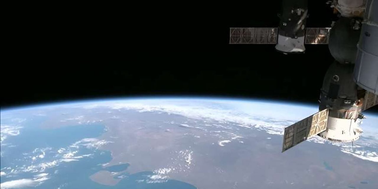 Stazione Spaziale, un nuovo studio sulla riproduzione in microgravità