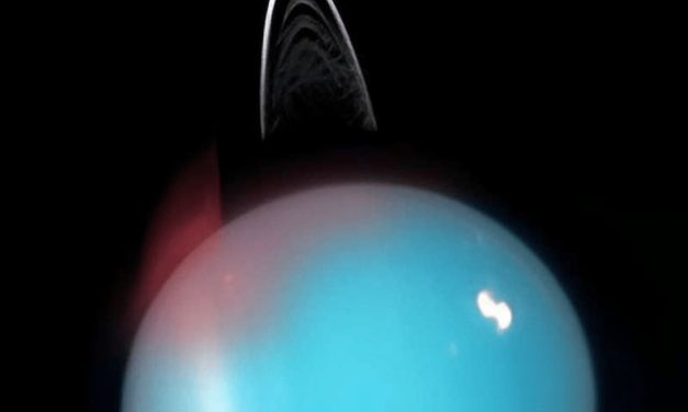 Aurore ad infrarossi per Urano
