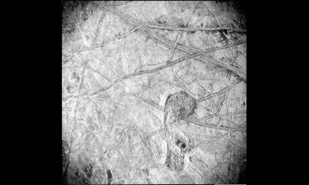Un lander per Europa 