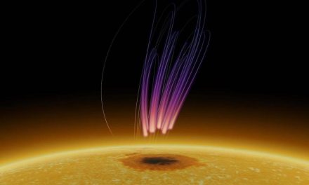 Anche il Sole ha la sua ‘aurora boreale’