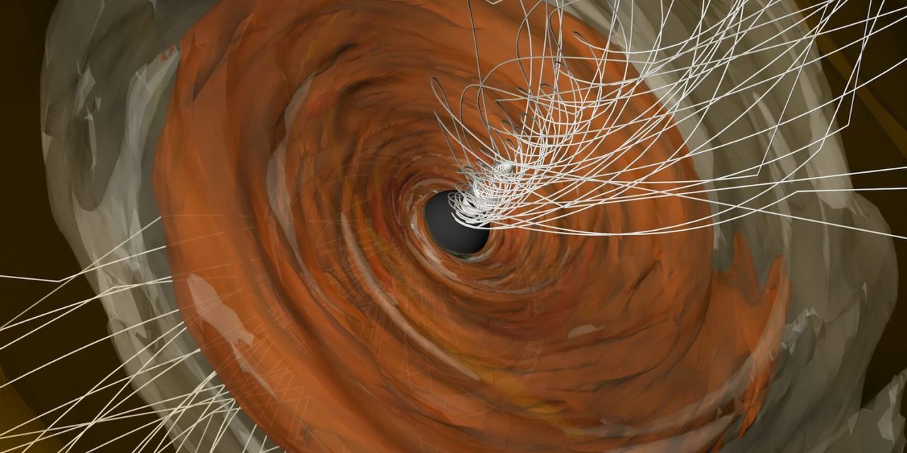 Nuova conferma dei forti campi magnetici di M87*