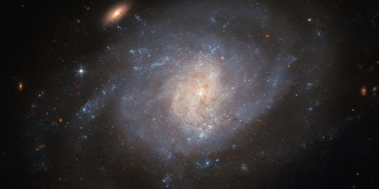 Hubble a caccia di supernove con gli astrofili