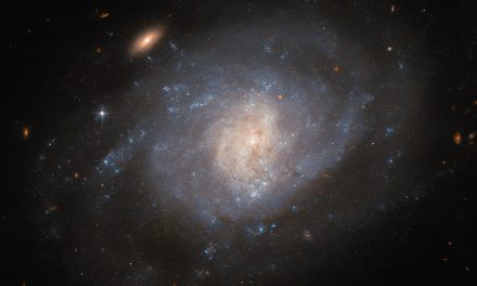 Hubble a caccia di supernove con gli astrofili