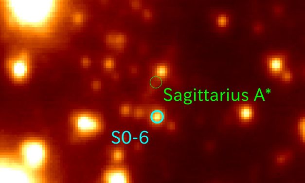 Un’estranea amante del rischio