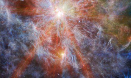 Lo zoom di Webb nella Grande Nube di Magellano