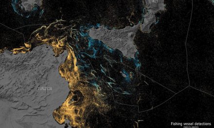 I satelliti Sentinel osservano le attività dei pescherecci