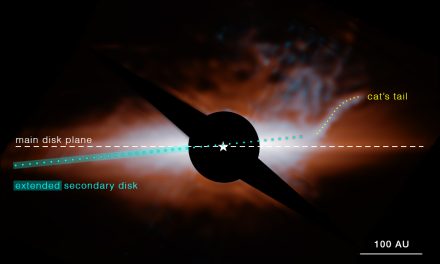Webb inquadra una ‘coda di gatto’ in un sistema planetario vicino a noi