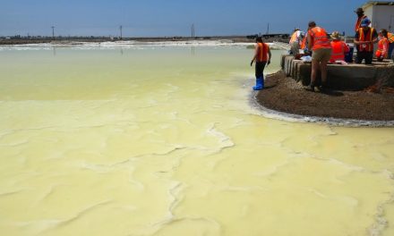 La vita resiste in ambienti estremamente salati