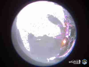 Un'immagine restituita dal lander Odysseus dopo l'atterraggio, che mostra parte della navicella e l'ombra proiettata sulla superficie lunare. Credito: Macchine intuitive