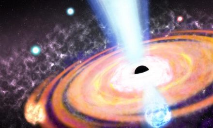 Webb, i buchi neri sono i semi delle prime galassie