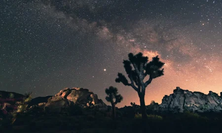 Starlink, rimozione di 100 satelliti per uno spazio sostenibile