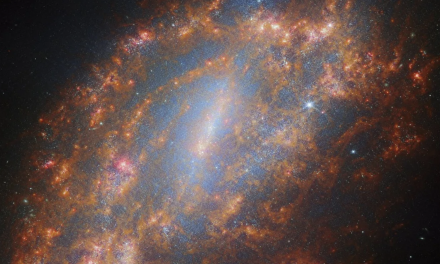 Lo scheletro di una galassia visto dal Webb