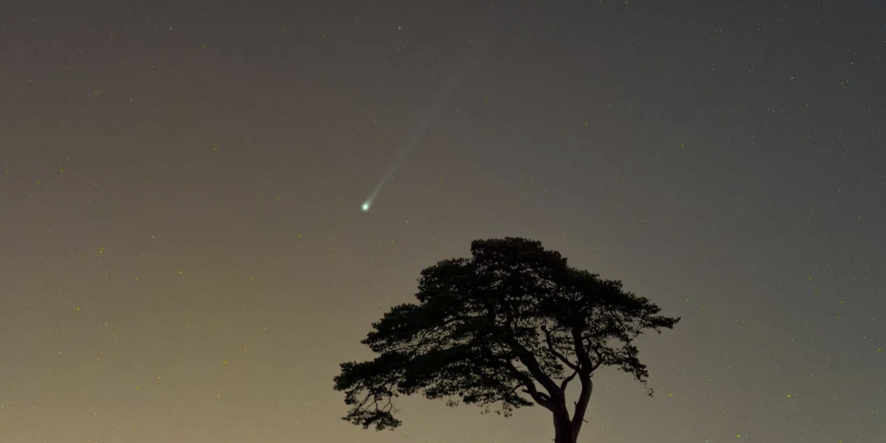La cometa con le corna sarà visibile a Pasqua