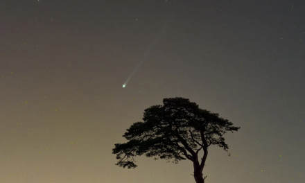 La cometa con le corna sarà visibile a Pasqua