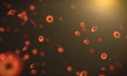 Buchi neri ‘primordiali’ con il telescopio Roman