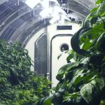 Marte, ipotesi di agricoltura sostenibile