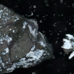 Bennu contiene gli ingredienti originali del Sistema Solare