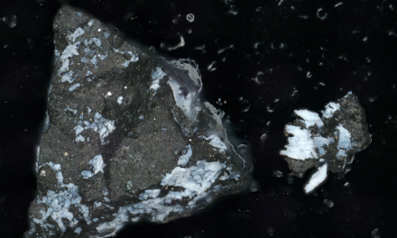 Bennu contiene gli ingredienti originali del Sistema Solare