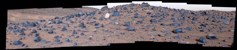 Percorso a ostacoli sul Mount Washburn