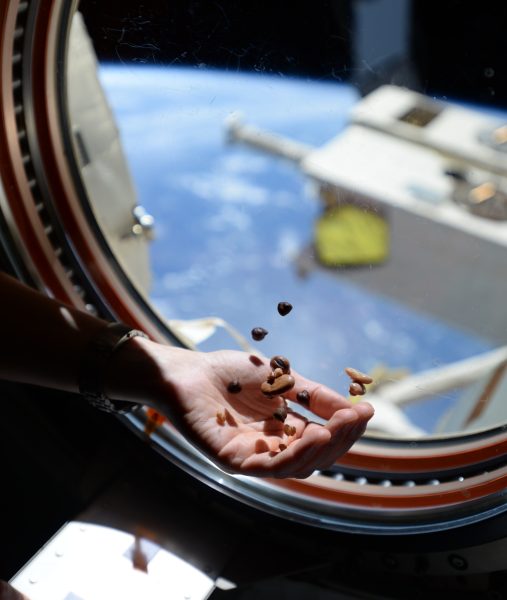 Flying beans, Legumi spaziali. Foto scattata da Samantha Cristoforetti nel 2015 durante la missione Futura. Crediti: Esa/Nasa 