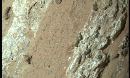 Marte, una roccia ‘stuzzicante’ nel mirino di Perseverance