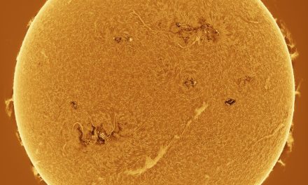 Il Sole sta già preparando il prossimo ciclo?