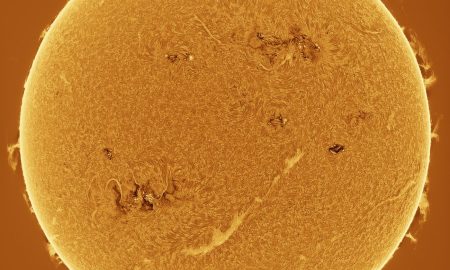 Il Sole sta già preparando il prossimo ciclo?