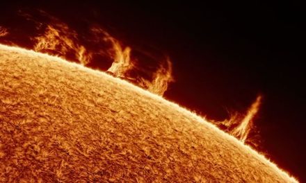 Astrofotografia, incredibili scatti del Sole da un giardino dell’Arizona