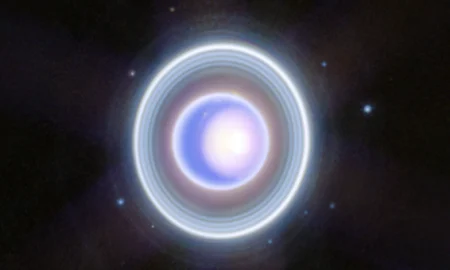 Ingorghi nel campo magnetico di Urano