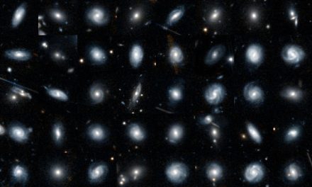 Sai dirci che aspetto hanno le galassie di Euclid?