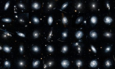 Sai dirci che aspetto hanno le galassie di Euclid?