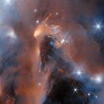 Giovani astri vagabondi, future stelle o pianeti? Webb indaga