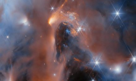 Giovani astri vagabondi, future stelle o pianeti? Webb indaga