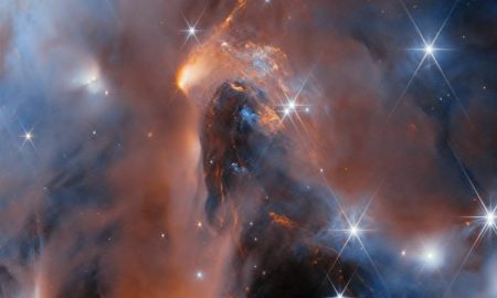 Giovani astri vagabondi, future stelle o pianeti? Webb indaga