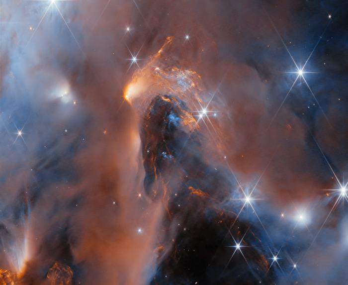 Giovani astri vagabondi, future stelle o pianeti? Webb indaga