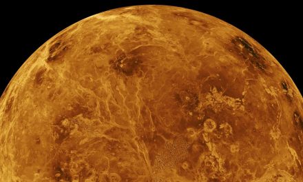 I ‘continenti’ di Venere