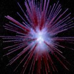 Ecco una rara supernova vista esplodere quasi 1000 anni fa