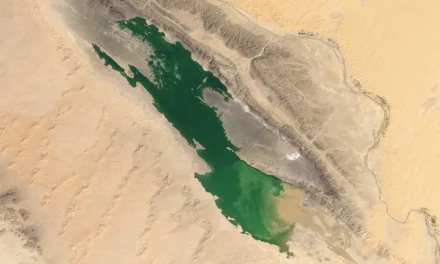 Un evento estremo ‘innaffia’ il Sahara