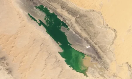 Un evento estremo ‘innaffia’ il Sahara