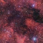 Un Lupo Oscuro nei cieli del Sud