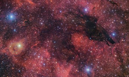Un Lupo Oscuro nei cieli del Sud