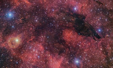 Un Lupo Oscuro nei cieli del Sud