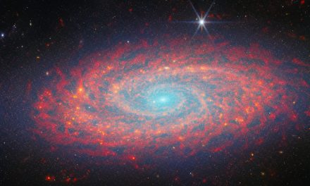 Webb ci regala dettagli magnifici della galassia Ngc 2090