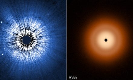 Nessun pianeta per Vega