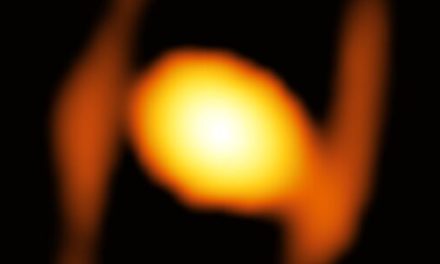 Scattata la prima immagine di una stella al di fuori della nostra galassia