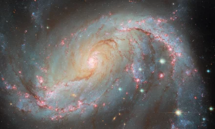 Hubble cattura una galassia dalle mille luci