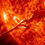 Una remota tempesta solare ‘raccontata’ dagli alberi