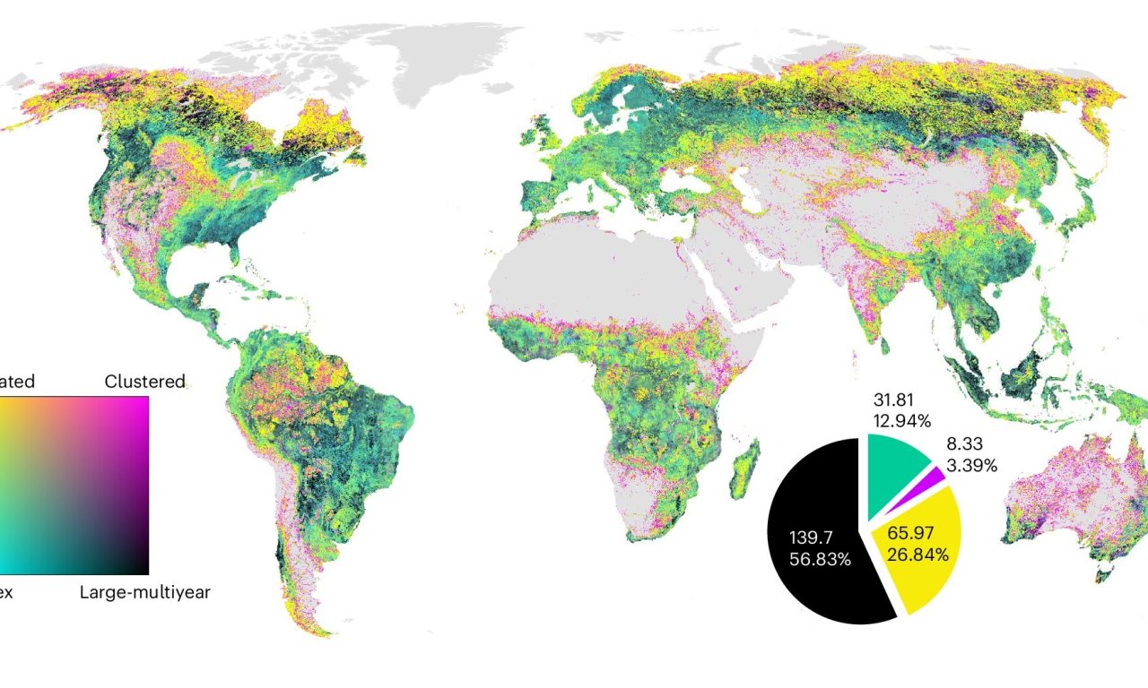 Anche nelle foreste le attività umane lasciano il segno